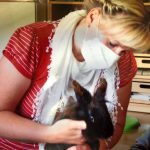 Fotos Haustierprojekt