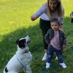 Haustierprojekt - Hund #1