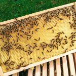 IMG_20200510_214413_025